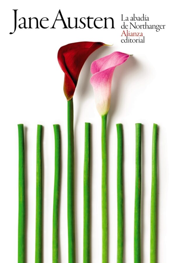 ABADIA DE NORTHANGER LA