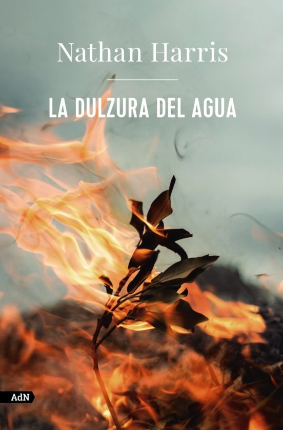 DULZURA DEL AGUA LA