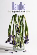 ** ENSAYO SOBRE EL CANSANCIO ( NVA EDICION )