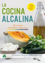 COCINA ALCALINA