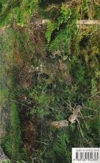 ** ESTADO DE EXCEPCION ( 5º ED. )