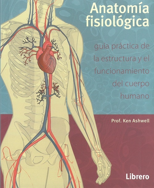 ANATOMIA FISIOLOGICA