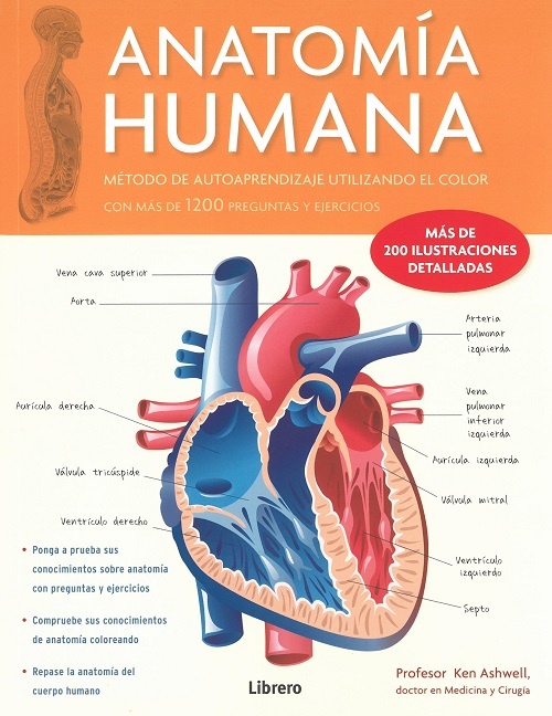 ANATOMIA HUMANA CORAZON V1