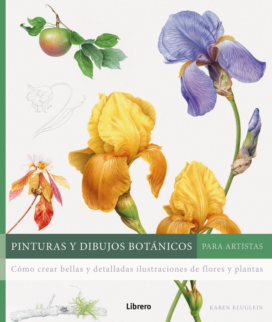 PINTURAS Y DIBUJOS BOTANICOS PARA ARTISTAS