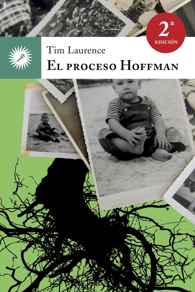 PROCESO HOFFMAN EL