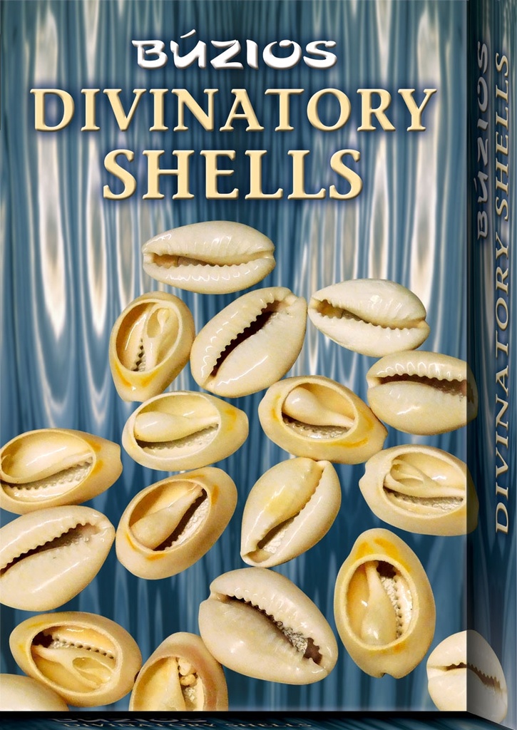 DIVINATORY SHELLS BUZIOS ( LIBRO + CONCHAS )