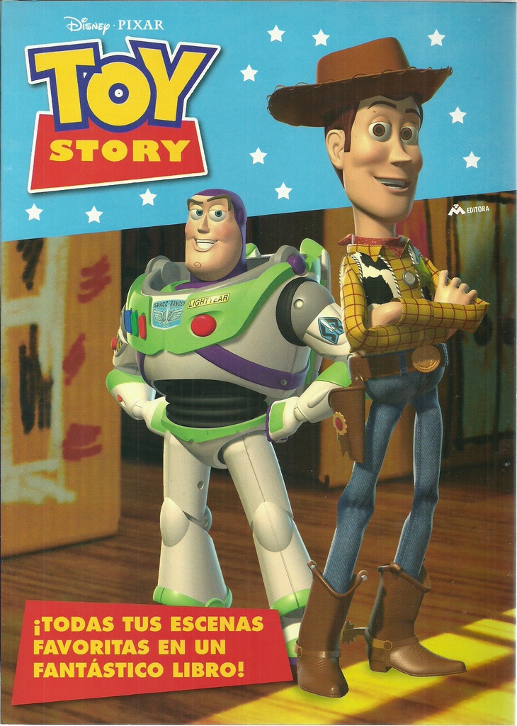 * TOY STORY