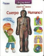 QUE HAY DENTRO DEL CUERPO HUMANO