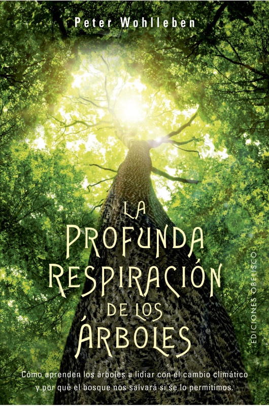 PROFUNDA RESPIRACION DE LOS ARBOLES LA