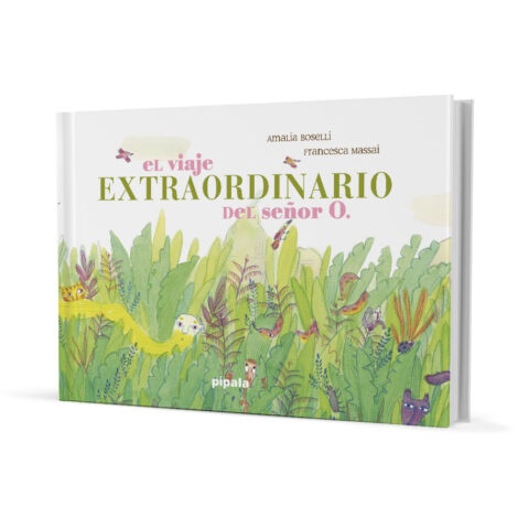 VIAJE EXTRAORDINARIO DEL SEÑOR O EL