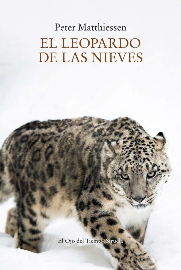 ** LEOPARDO DE LAS NIEVES EL