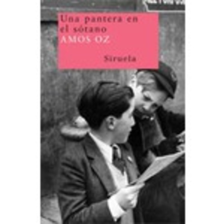 ** UNA PANTERA EN EL SOTANO ( N.ED. )