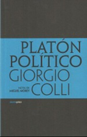 PLATON POLITICO