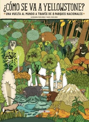 ¿ COMO SE VA A YELLOWSTONE ?