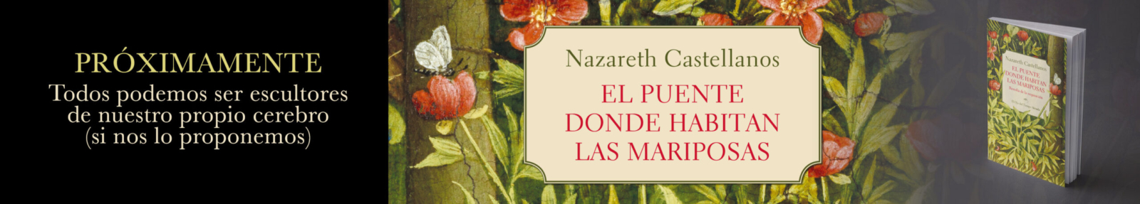 Banner Senales