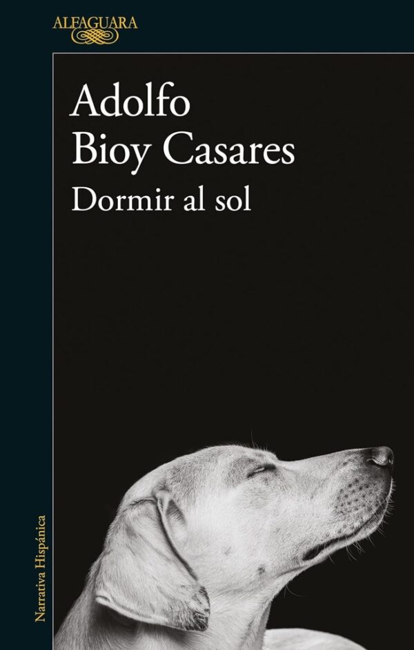 DORMIR AL SOL