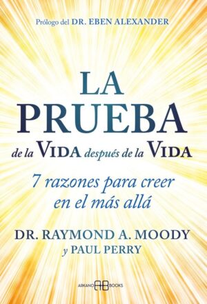 PRUEBA DE LA VIDA DESPUES DE LA VIDA