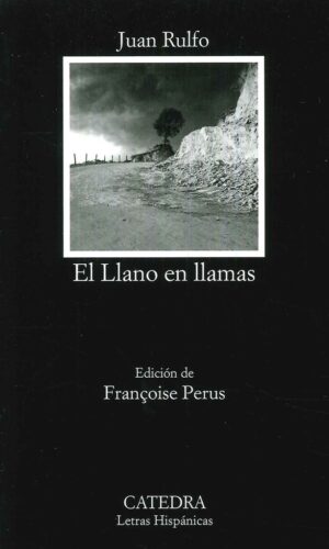 LLANO EN LLAMAS EL