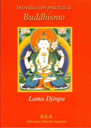 INTRODUCCION PRACTICA AL BUDDHISMO