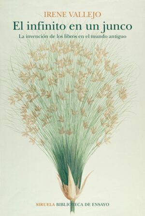 INFINITO EN UN JUNCO EL