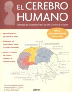 CEREBRO HUMANO EL