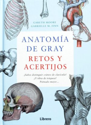 ANATOMIA DE GRAY