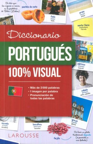 DICCIONARIO DE PORTUGUES 100 % VISUAL