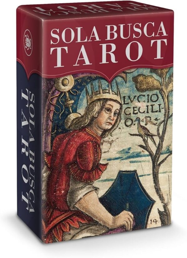 MINI SOLA BUSCA (LIBRO + 78 CARTAS) TAROT