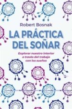 PRACTICA DEL SOÑAR, LA