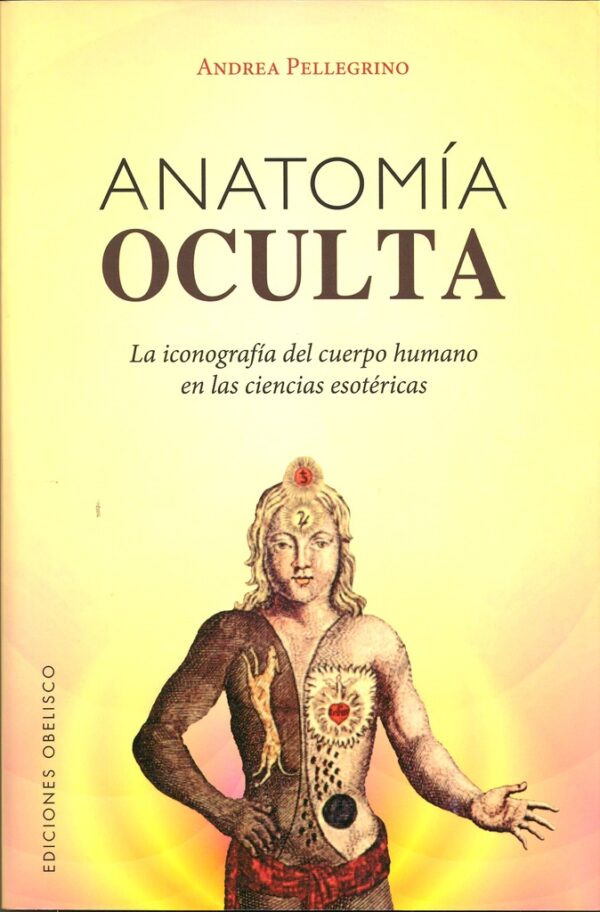 ANATOMIA OCULTA