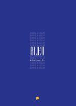 DIARIO A COLOR. BLEU