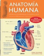 ANATOMIA HUMANA CORAZON V1