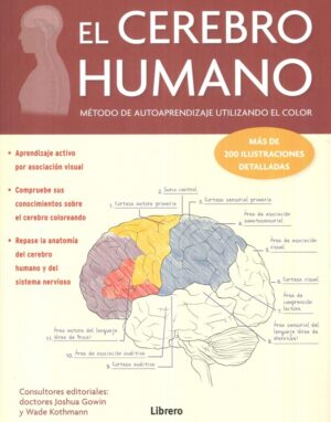 CEREBRO HUMANO, EL