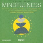 PEQUEÑO LIBRO DE MINDFULNESS
