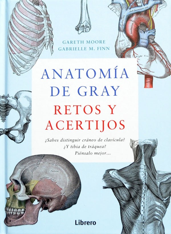 ANATOMIA DE GRAY