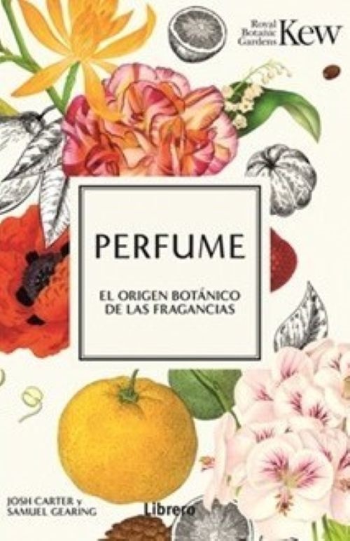 PERFUME