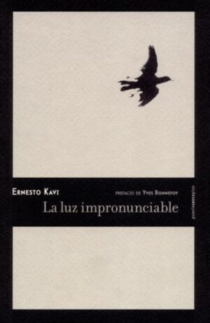 LA LUZ IMPRONUNCIABLE