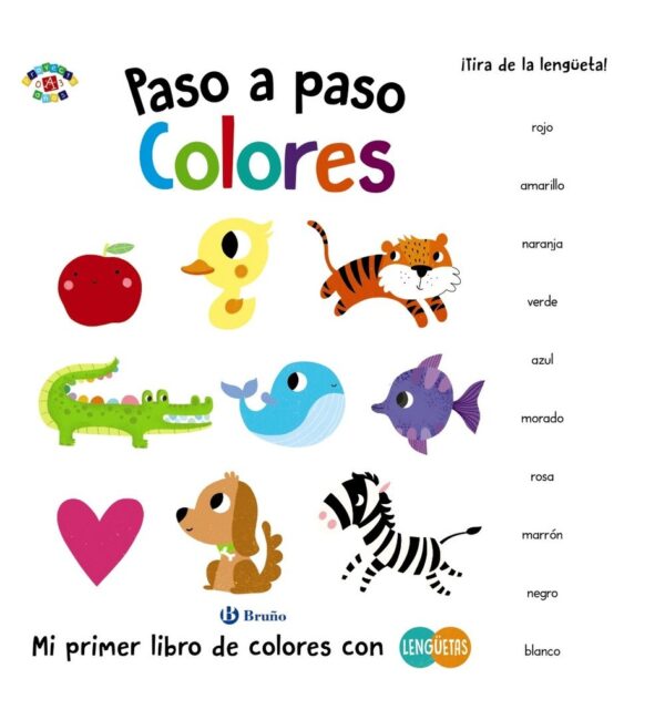 PASO A PASO COLORES