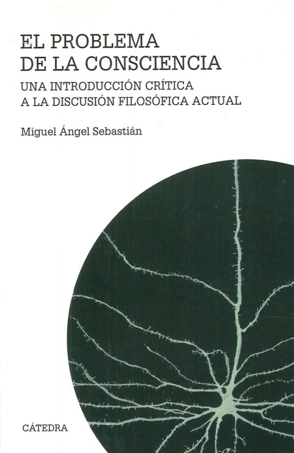 EL PROBLEMA DE LA CONSCIENCIA