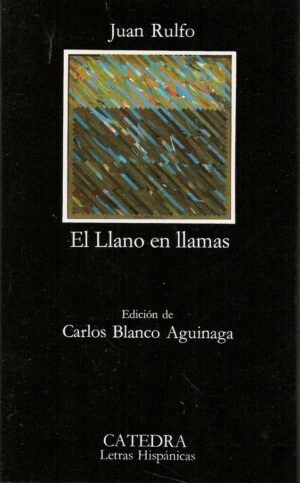LLANO EN LLAMAS EL