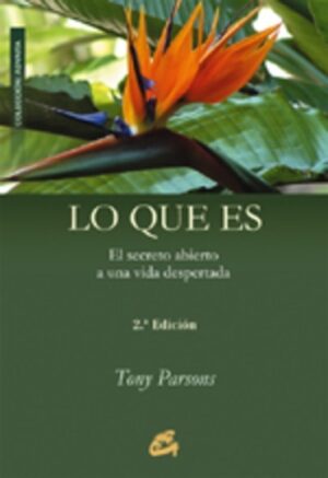 LO QUE ES